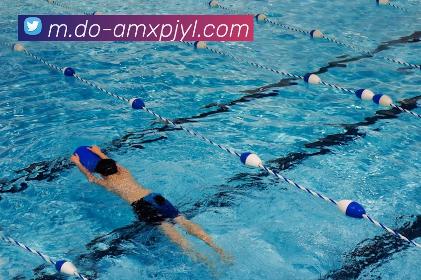 澳门新葡京娱乐APP 封面图